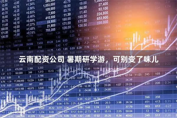 云南配资公司 暑期研学游，可别变了味儿
