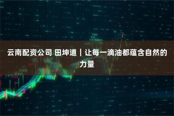 云南配资公司 田坤道｜让每一滴油都蕴含自然的力量