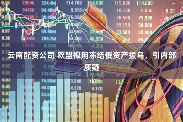 云南配资公司 欧盟拟用冻结俄资产援乌，引内部质疑